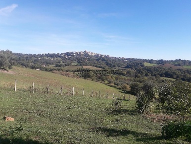 Foto Rustico a Manciano di 350 m² con 10 locali in vendita