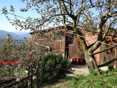 Foto Rustico a Fivizzano Magliano di 8000 m² con 6 locali in vendita