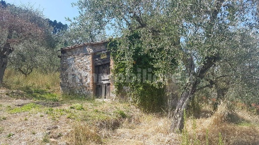 Foto Rustico a Capannori Colle di Compito - Castelvecchio di 20 m²