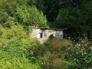 Foto Rustico a Lerici di 20 m² in vendita