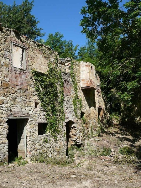 immagine annuncio 4 di 15