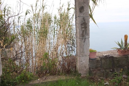 Foto Rustico a La Spezia Marola - Campiglia di 85 m² con 5 locali