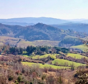 Foto Rustico a Palaia di 900 m² con 25 locali in vendita