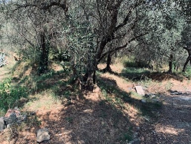 Foto Rustico a Calci Centro di 180 m² con 10 locali in vendita