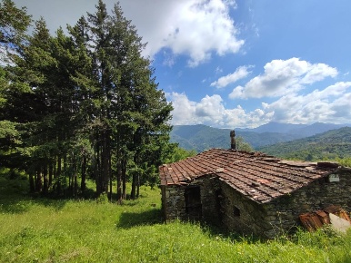 Foto Rustico a Leivi di 115 m² con 2 locali in vendita