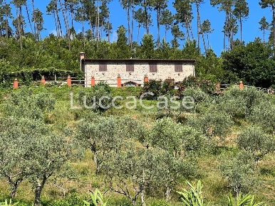 Foto Rustico a Buti Colle di Compito - Castelvecchio di 275 m² con 7 locali