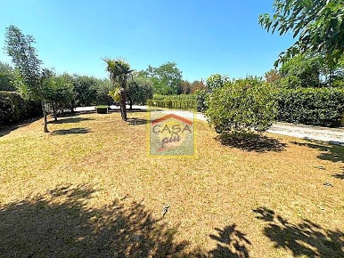 Foto Rustico a Cascina San Frediano Sud - San Lorenzo a Pagnatico di 220 m²