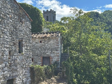 Foto Rustico a Lucca Brancoleria di 400 m² con 20 locali in vendita