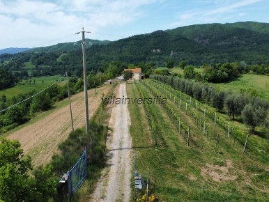 Foto Rustico a Pitigliano di 350 m² con 12 locali in vendita