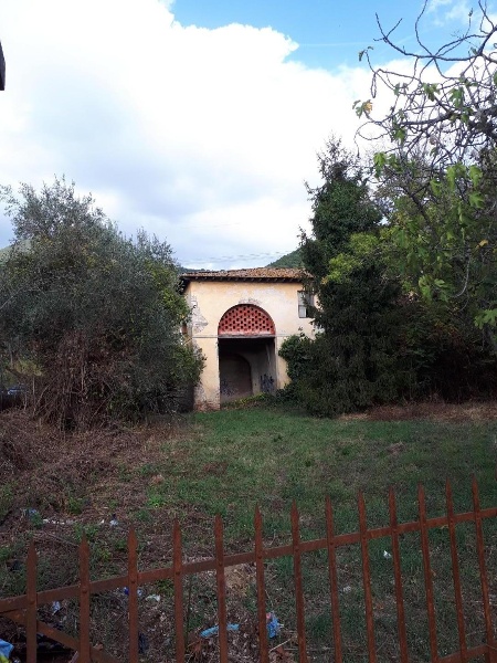 immagine annuncio 2 di 14