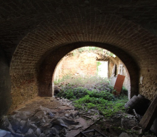 immagine annuncio 5 di 7