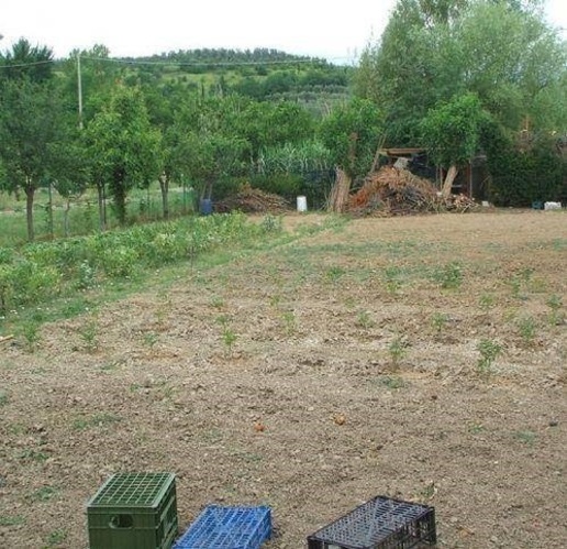 immagine annuncio 1 di 7