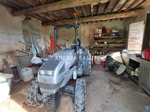 immagine annuncio 6 di 11