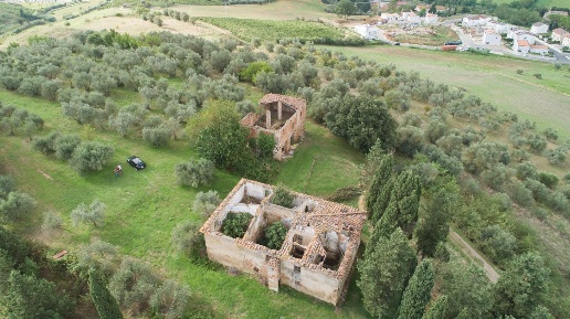 immagine annuncio 4 di 12