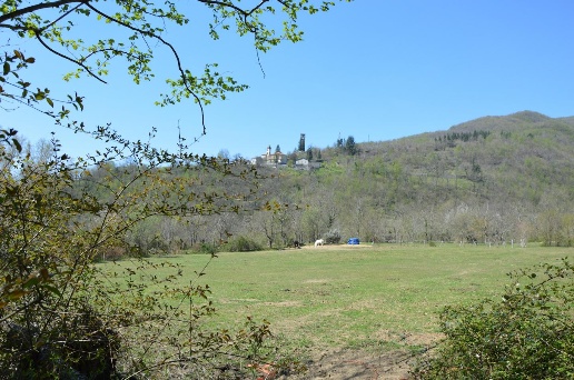 immagine annuncio 1 di 8