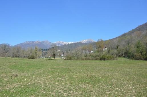 immagine annuncio 2 di 8