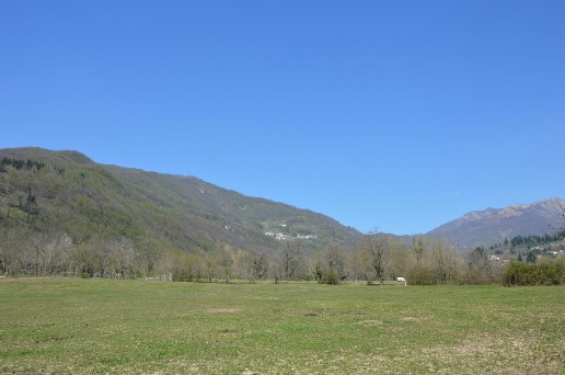 immagine annuncio 3 di 8