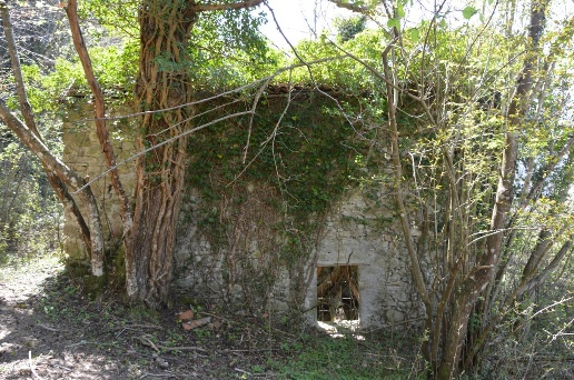 immagine annuncio 6 di 8