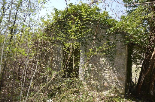 immagine annuncio 7 di 8