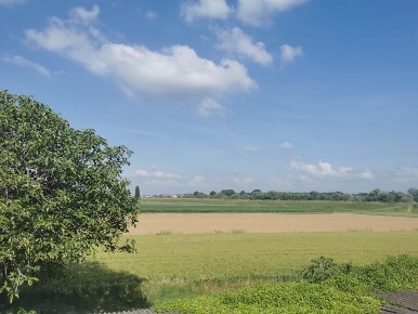 Foto Rustico a Santa Maria a Monte San Donato di 600 m² con 10 locali