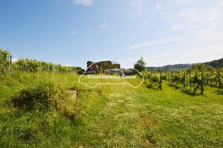 Foto Rustico a Montecarlo di 320 m² con 7 locali in vendita