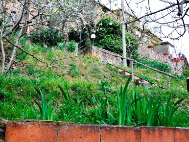 Foto Rustico a Luni di 120 m² con 4 locali in vendita