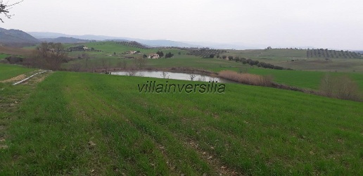 Foto Rustico a Manciano di 800 m² con 10 locali in vendita
