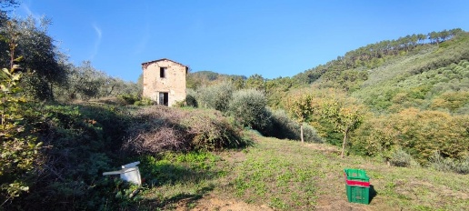 Foto Rustico a Capannori Colle di Compito - Castelvecchio di 74 m²