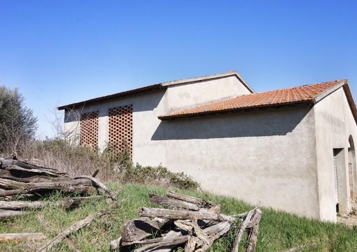 immagine annuncio 4 di 8