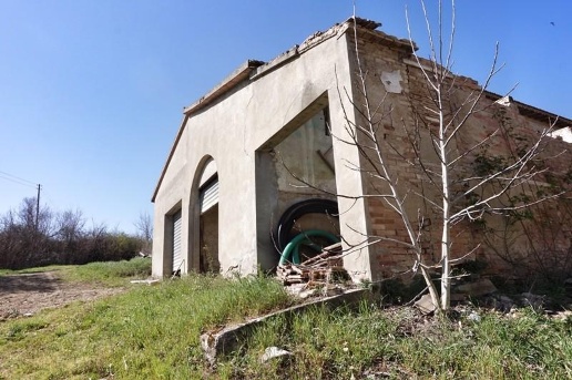 immagine annuncio 5 di 8