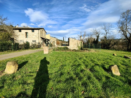 immagine annuncio 4 di 14