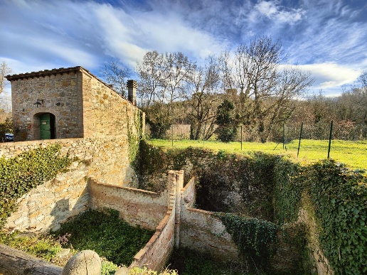 immagine annuncio 5 di 14