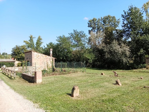 immagine annuncio 7 di 14