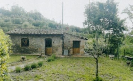 immagine annuncio 12 di 14