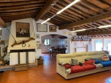 Foto Rustico a San Giuliano Terme Rigoli, Molina di Quosa di 250 m²