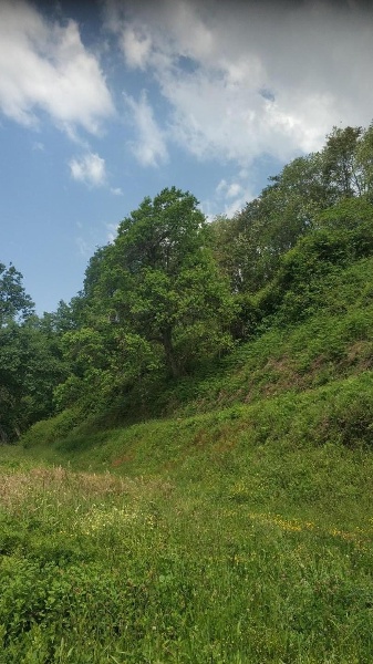 immagine annuncio 2 di 6