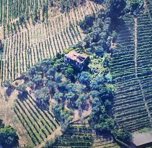Foto Rustico a Massa Romagnano di 140 m² con 8 locali in vendita