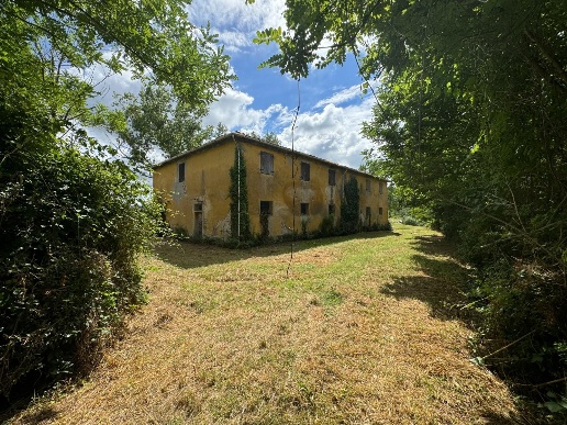 immagine annuncio 2 di 14