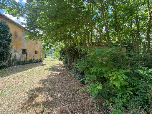 immagine annuncio 7 di 14