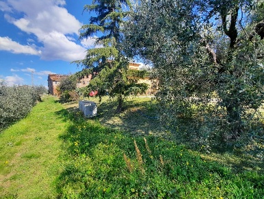 Foto Rustico a Montecarlo Centro di 130 m² con 5 locali in vendita