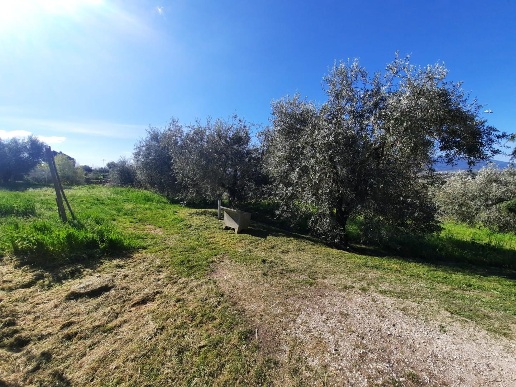 immagine annuncio 1 di 4