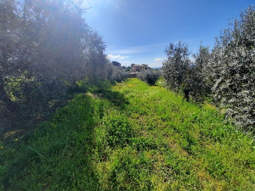 immagine annuncio 3 di 4