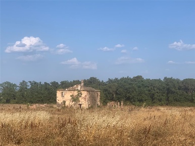 Foto Rustico a Castiglione del Lago di 200 m² con 10 locali in vendita