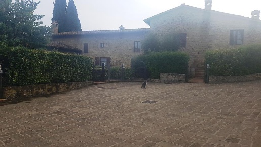 Foto Rustico in Unnamed Road, Casole d'Elsa di 75 m² in vendita