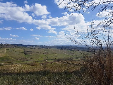 Foto Rustico in SR2 16, Poggibonsi di 200 m² con 8 locali in vendita