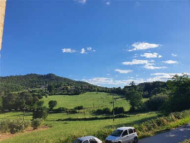 Foto Rustico in SP99 41-37, Sovicille di 120 m² in vendita