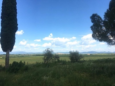 Foto Rustico a Castiglione del Lago di 294 m² con 5 locali in vendita