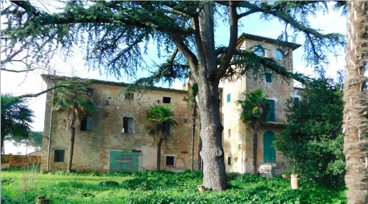 Foto Rustico a Castiglione del Lago di 900 m² in vendita