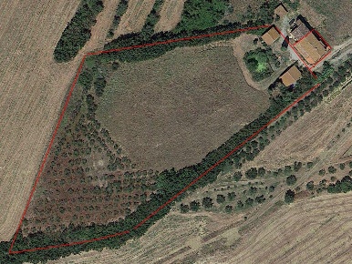 Foto Rustico a Castiglione del Lago di 170 m² con 5 locali in vendita