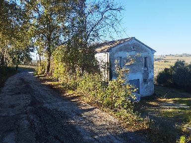 Foto Rustico in VIA SANGUINETTI, Morro d'Alba Centro di 200 m² in vendita
